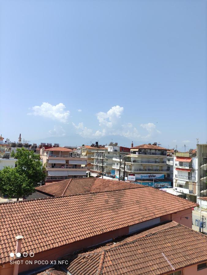 Villa Odyssia Paralia Katerinis Exterior photo